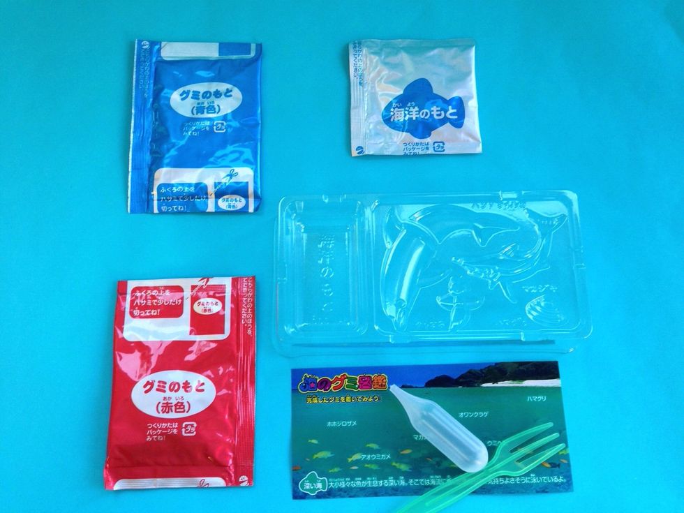 Blue Packet-Ramune flavor powder--Red Packet-Grape Flavor powder--Silver Packet with Blue Fish-This is the Gumminator powder, Activator that turns powder into gummies--Tray, Dropper, Spatula, Placemat