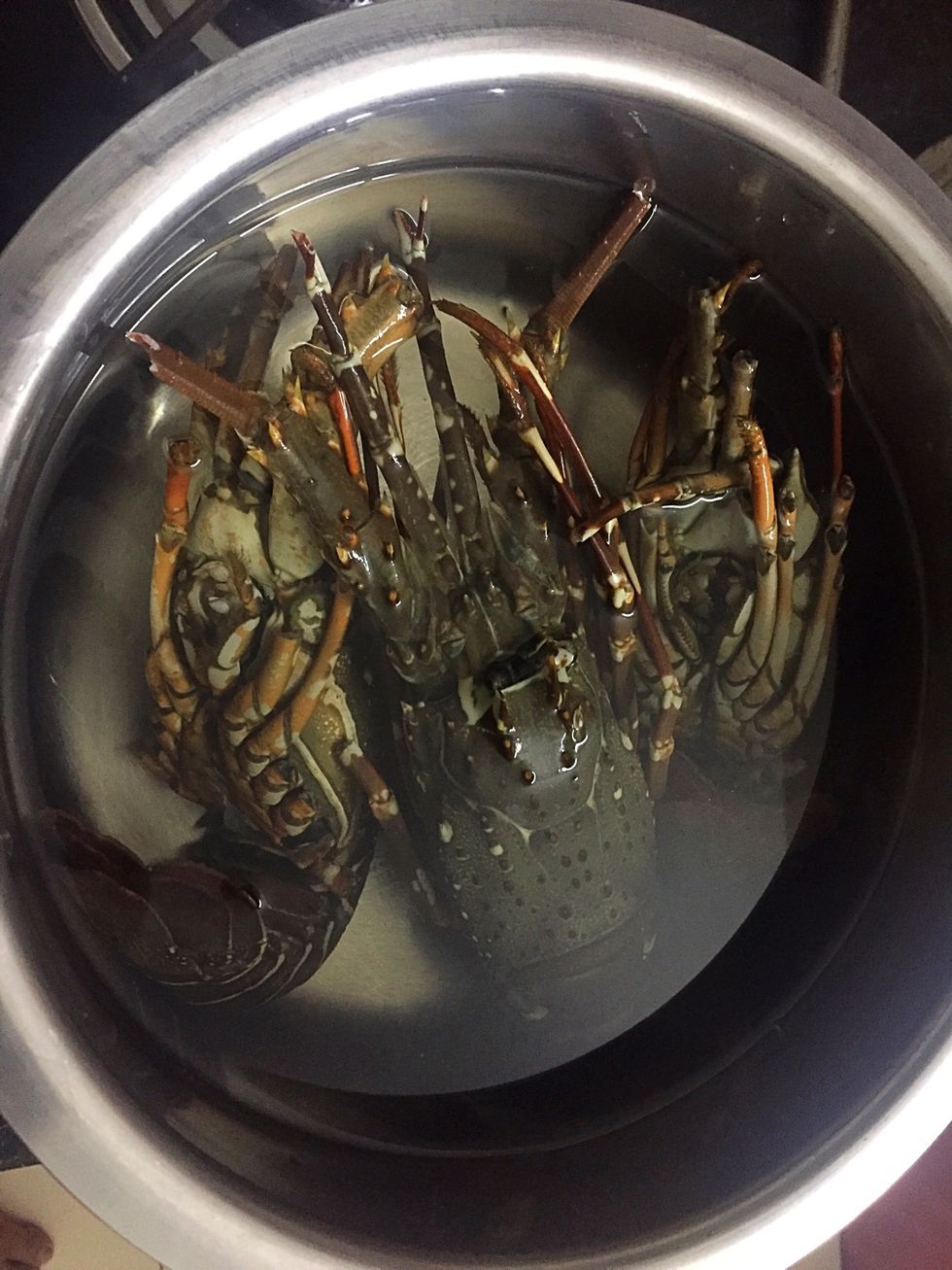 Boil lobsters for 2-3 mins