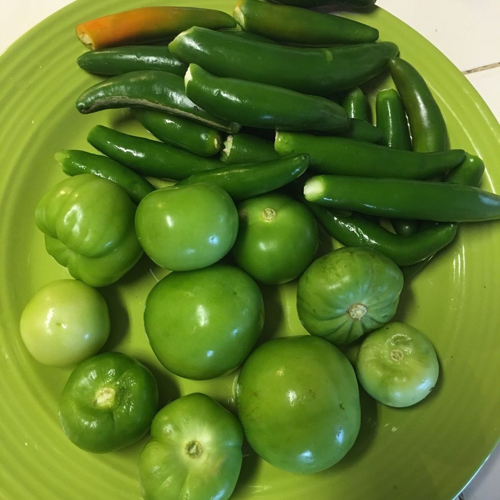 Boil serrano and tomatillos in 2 1/2 cups of water (save water to add to blender)