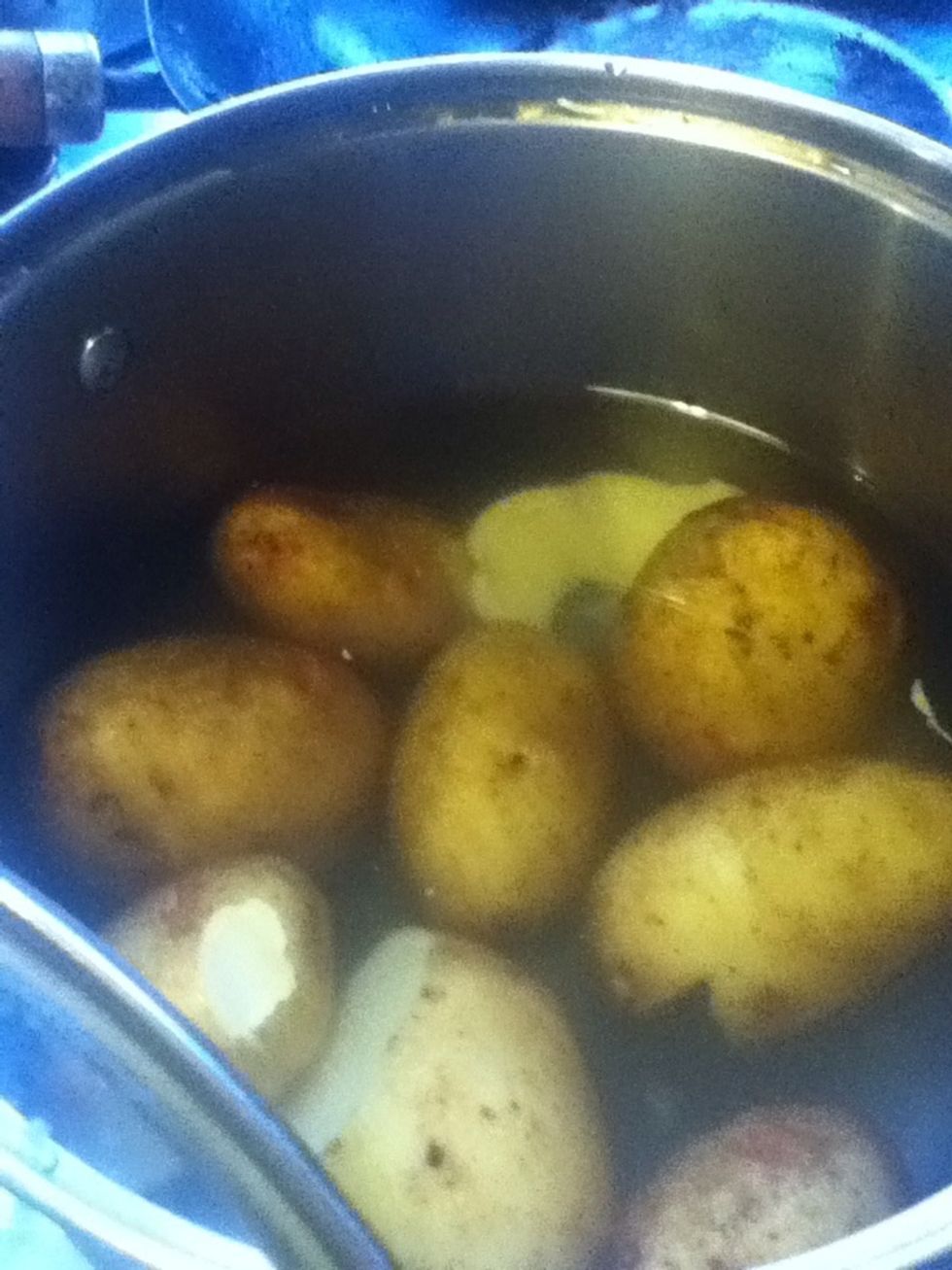 Boil tatties from cold ( anything that grows under ground should be boiled from cold)