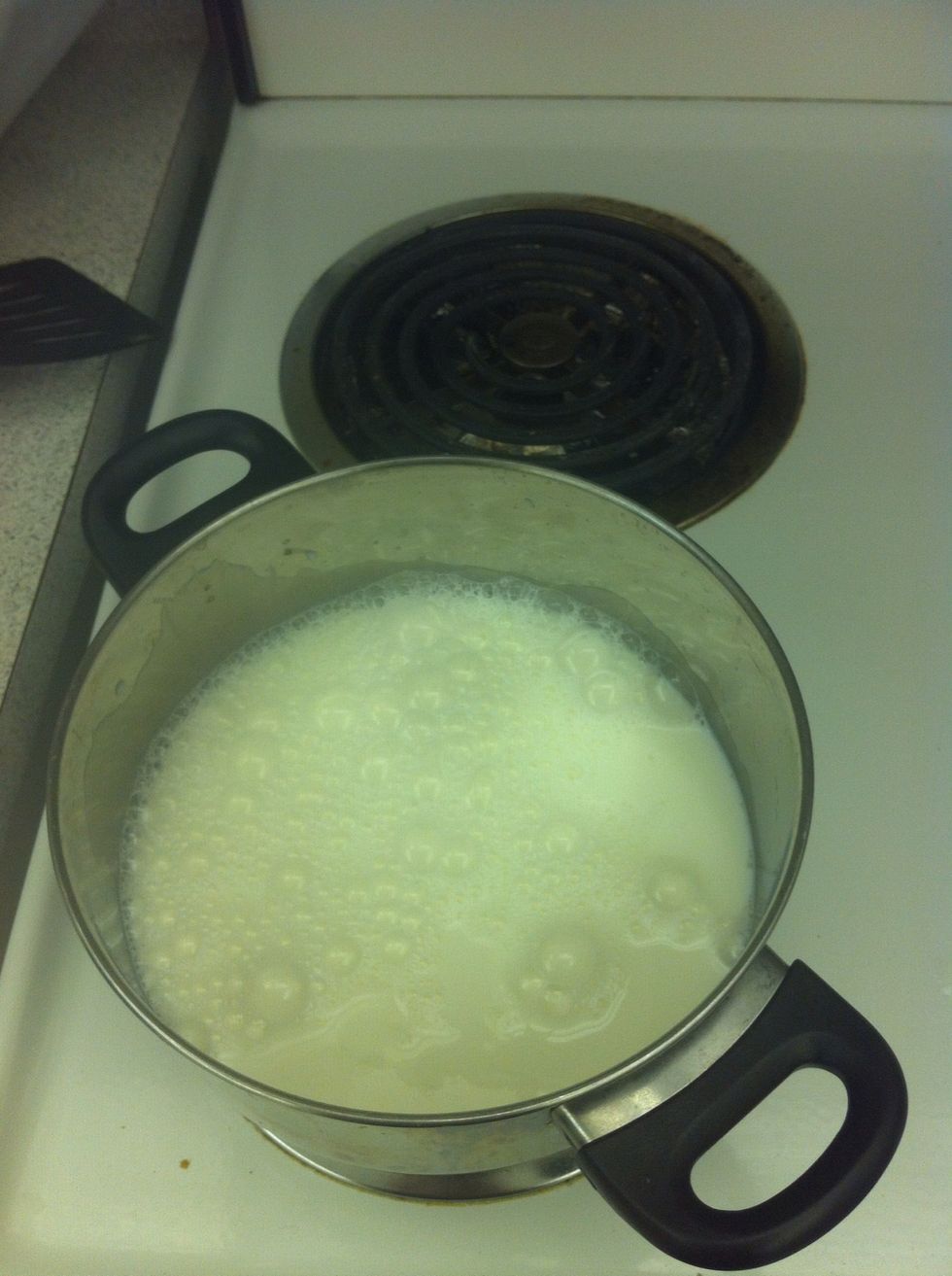 Boil the milk until its gonna be a little warm