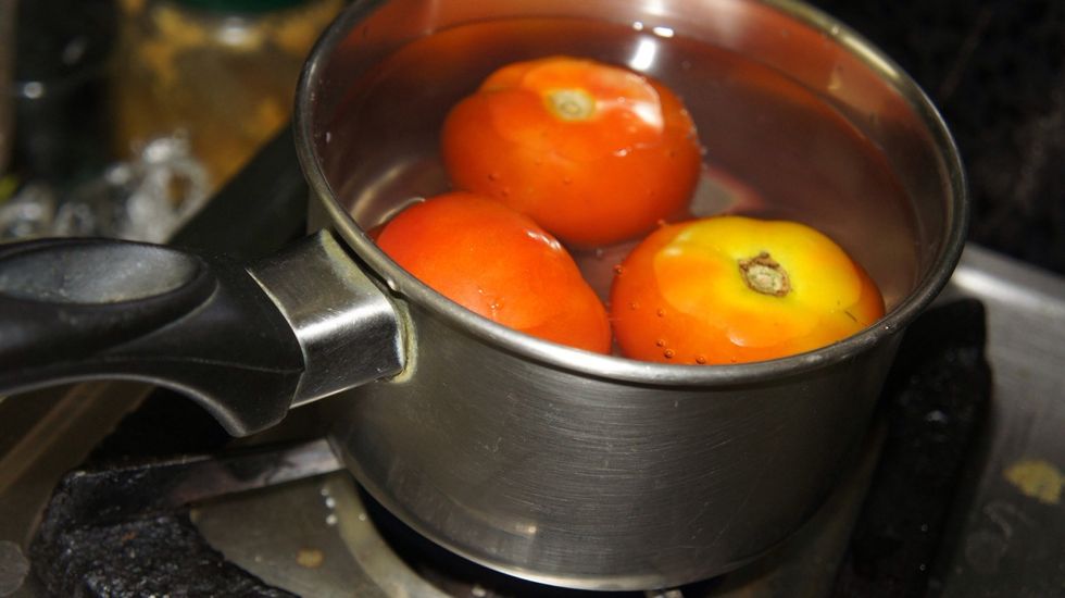 Boil tomatoes