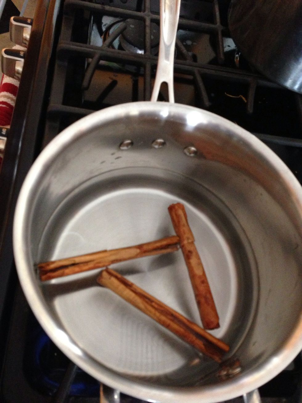 Boil water with Cinnamon sticks and let steep about 1 hour. (Aka let the sticks sit in the water so that it takes in the flavor). This is important so that you can remove the sticks and not bite them