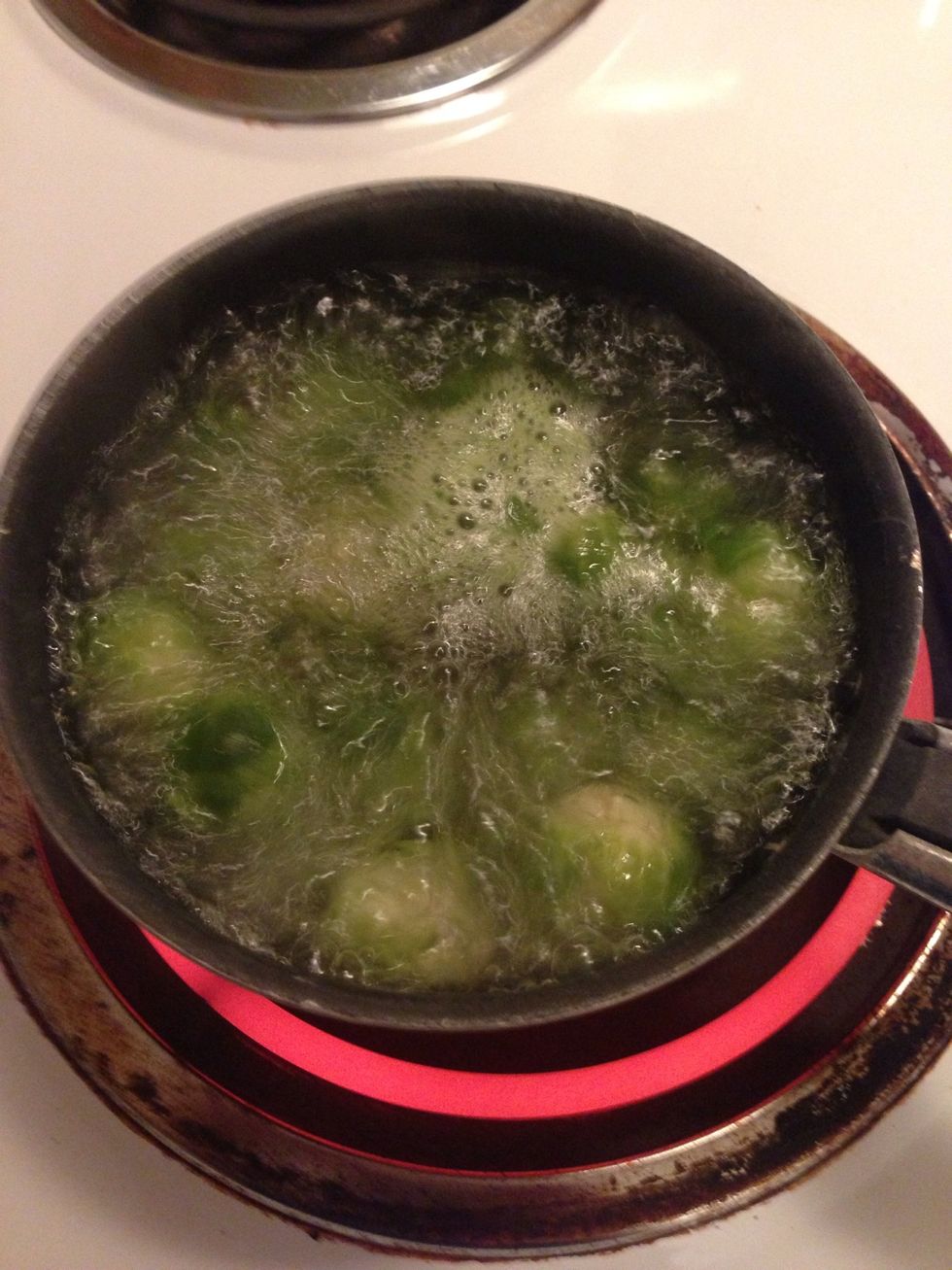 Boil