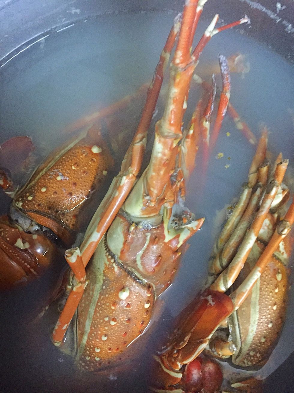Boiled lobster