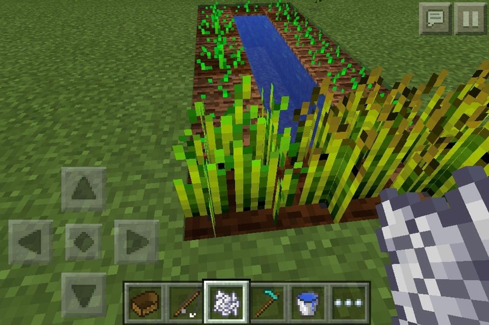 Bonemeal all the plants you get bonemeal by killing skeletons and getting bones and crafting then Into bonemeal