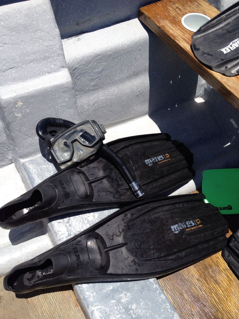 Borrow or rent snorkeling gear.
