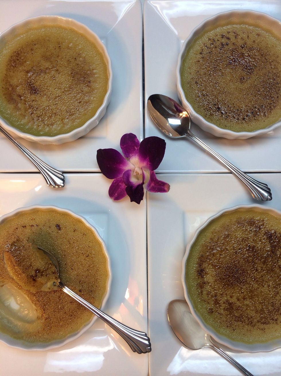 Br\u00fbl\u00e9e, to burn. Burnt cream, in other words ... Creme Br\u00fbl\u00e9e! Enjoy!