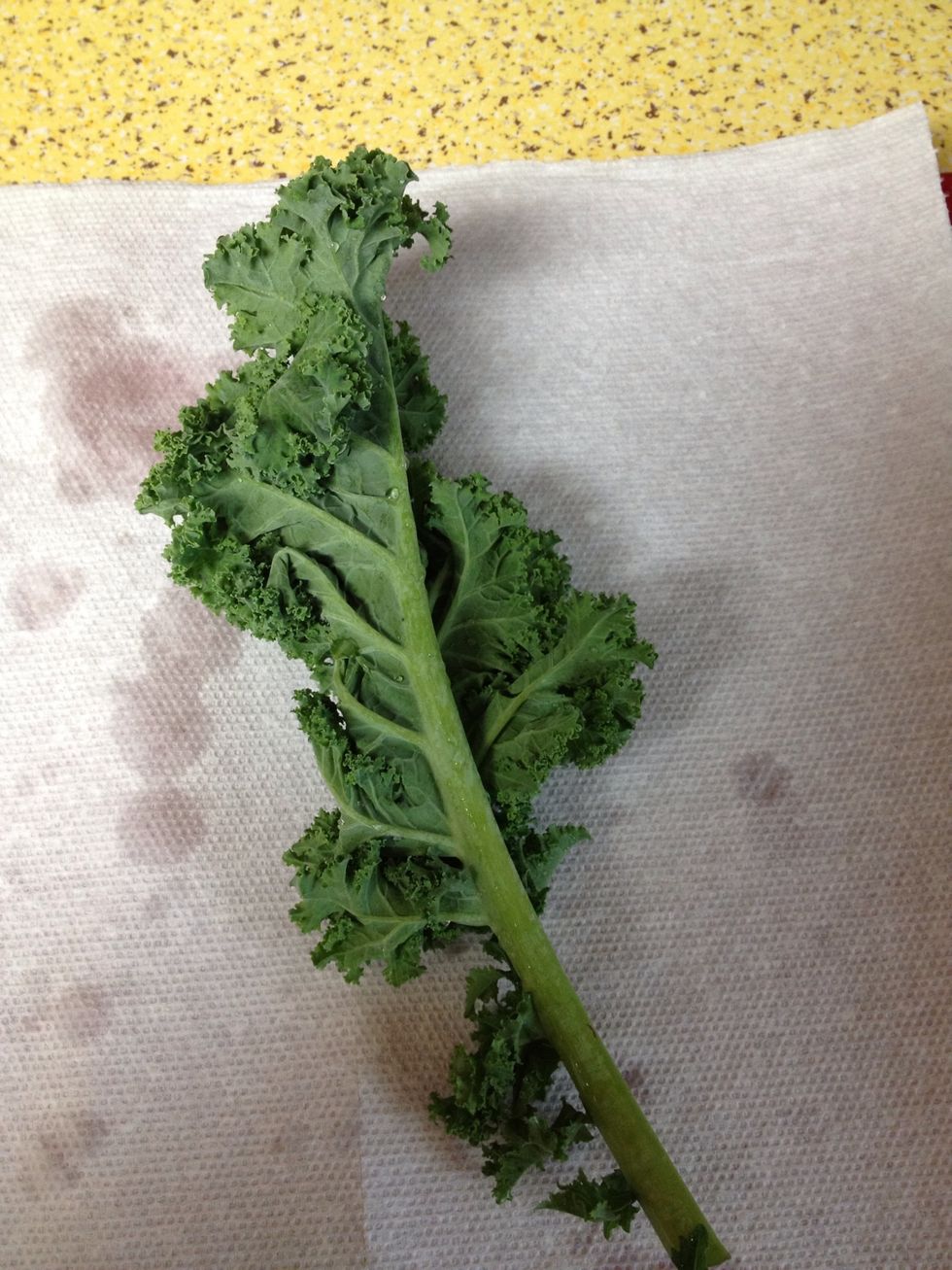 Break a leaf from the bunch & blot it a little more with the paper towel. Make sure your kale is pretty dry, as it will take longer to bake to make it crispy.