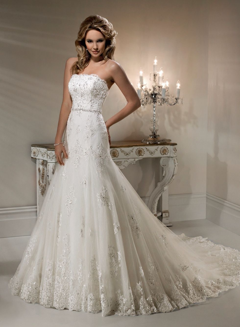 Brides wedding dress
