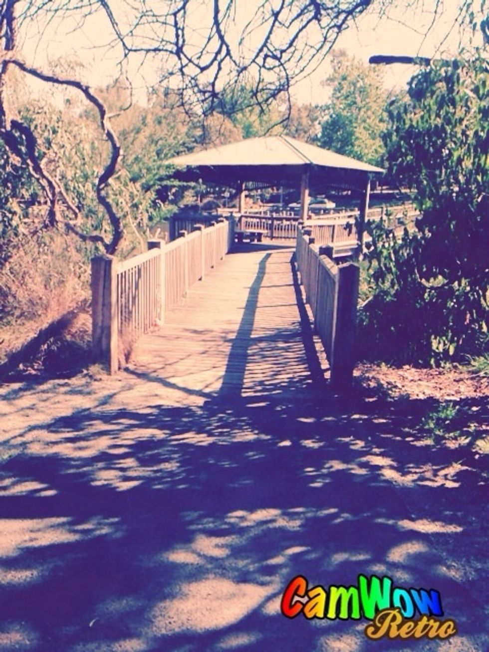 Bridge and picnic area, cross if wanted to get to the other side of the path