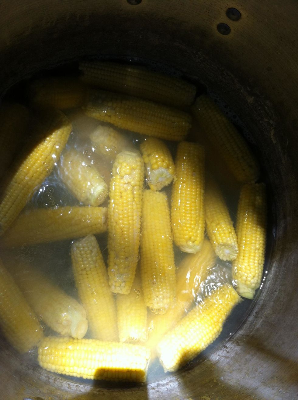 Bring a large pot of water to boil. Add corn. Start timer when the water has been brought back up to a boil. Boil for 5 minutes.