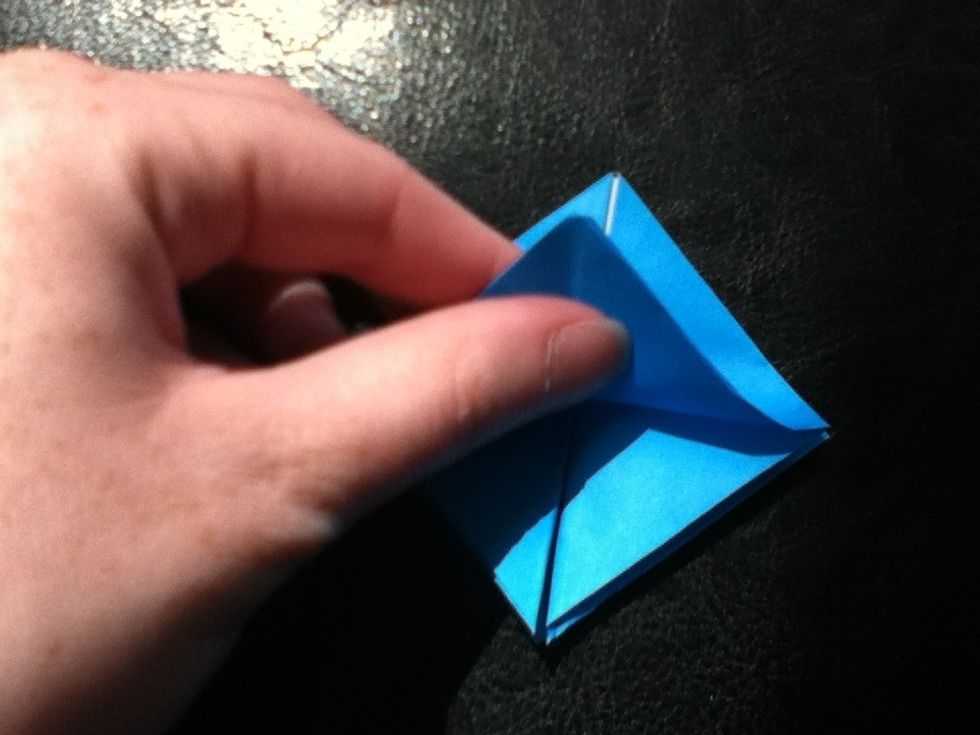 Bring the bottom tip up to the top and crease, but bring the bottom back down.