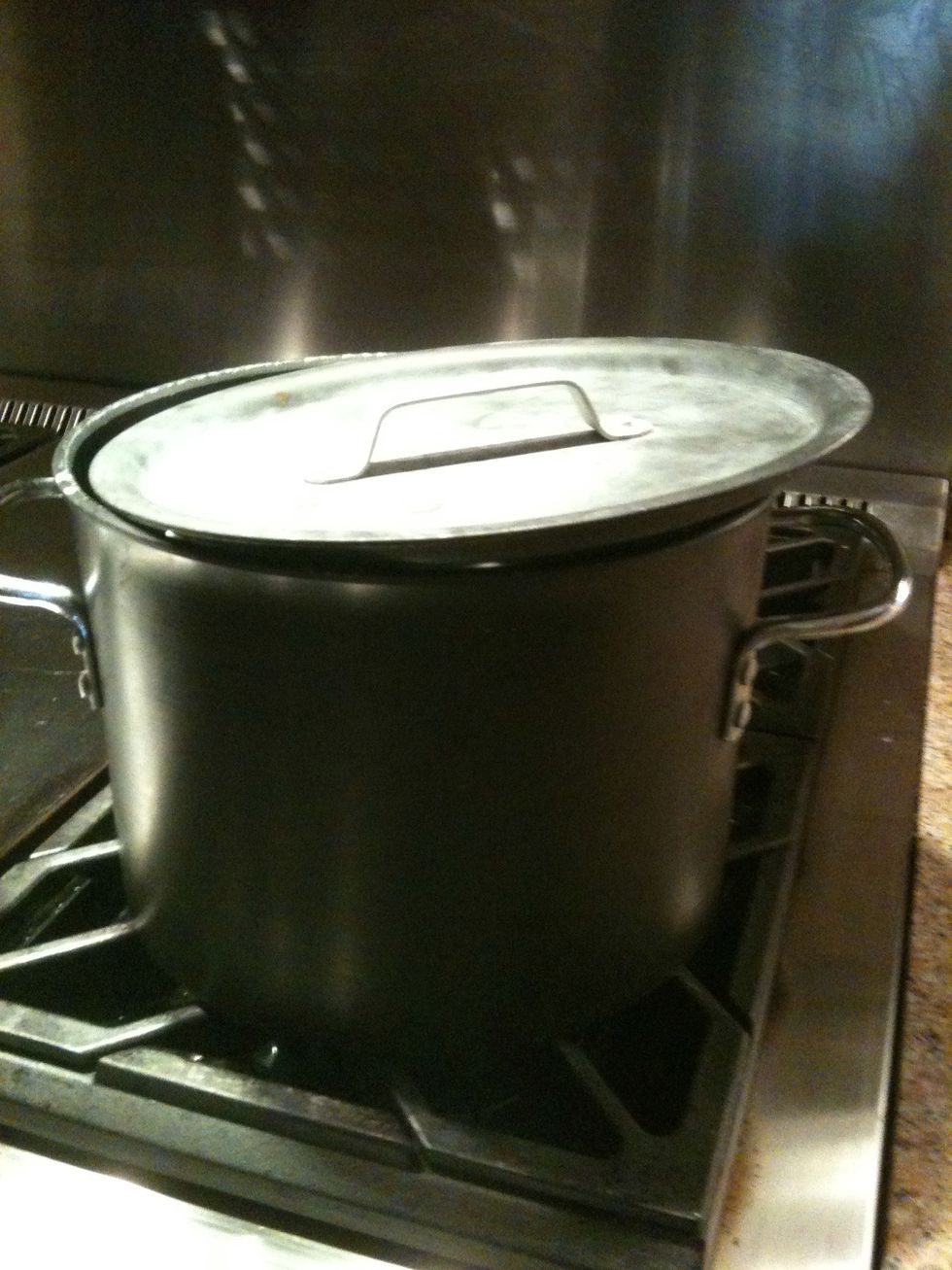 Bring the mixture to a boil then allow to simmer for 30-40 minutes.