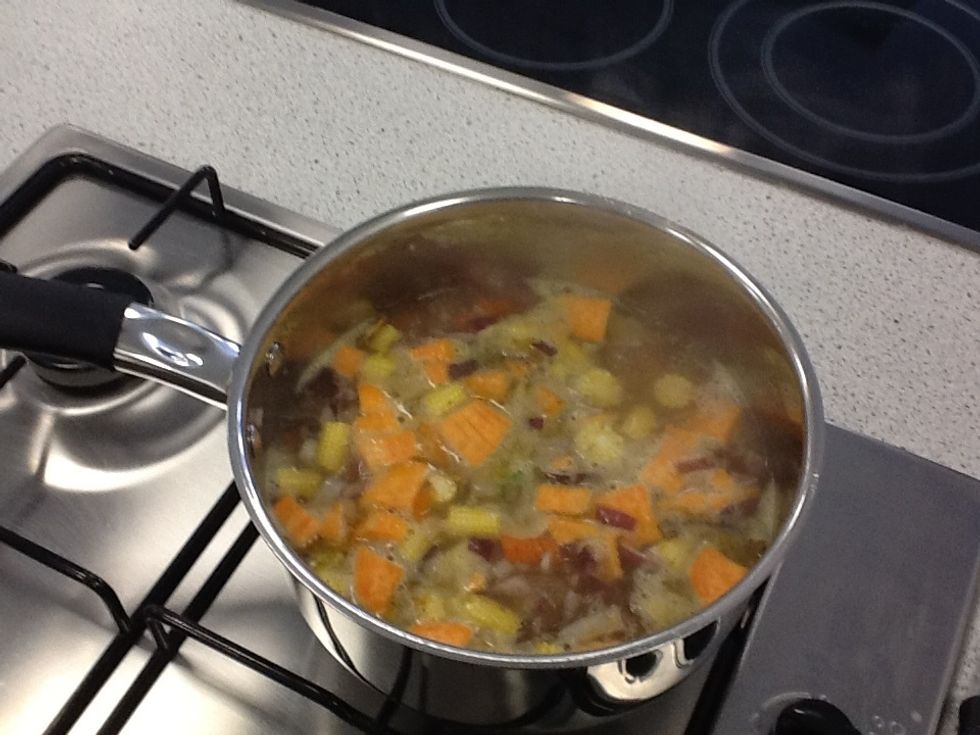 Bring the mixture to the boil. And simmer gently for 15 mins.