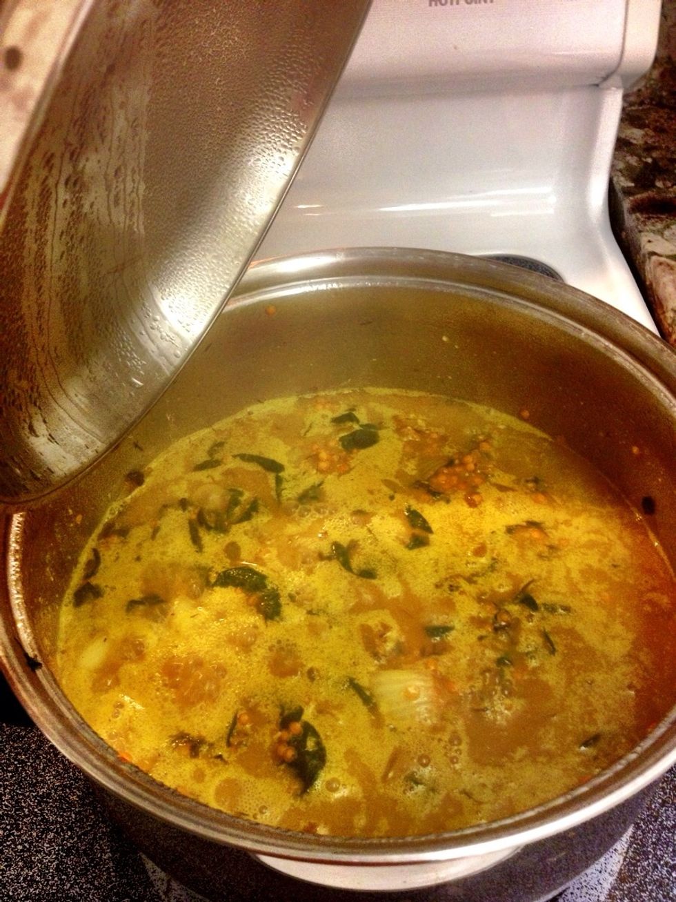Bring to boil and lower heat. Cover and simmer for 20 min until lentils soften. If you add coconut milk, do so at the 15 min mark more or less.