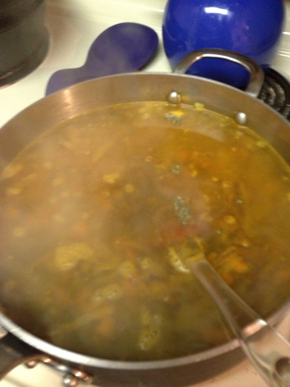 Bring to boil for 10 minutes on medium high heat  then turn down to simmer on low for 40 minutes.