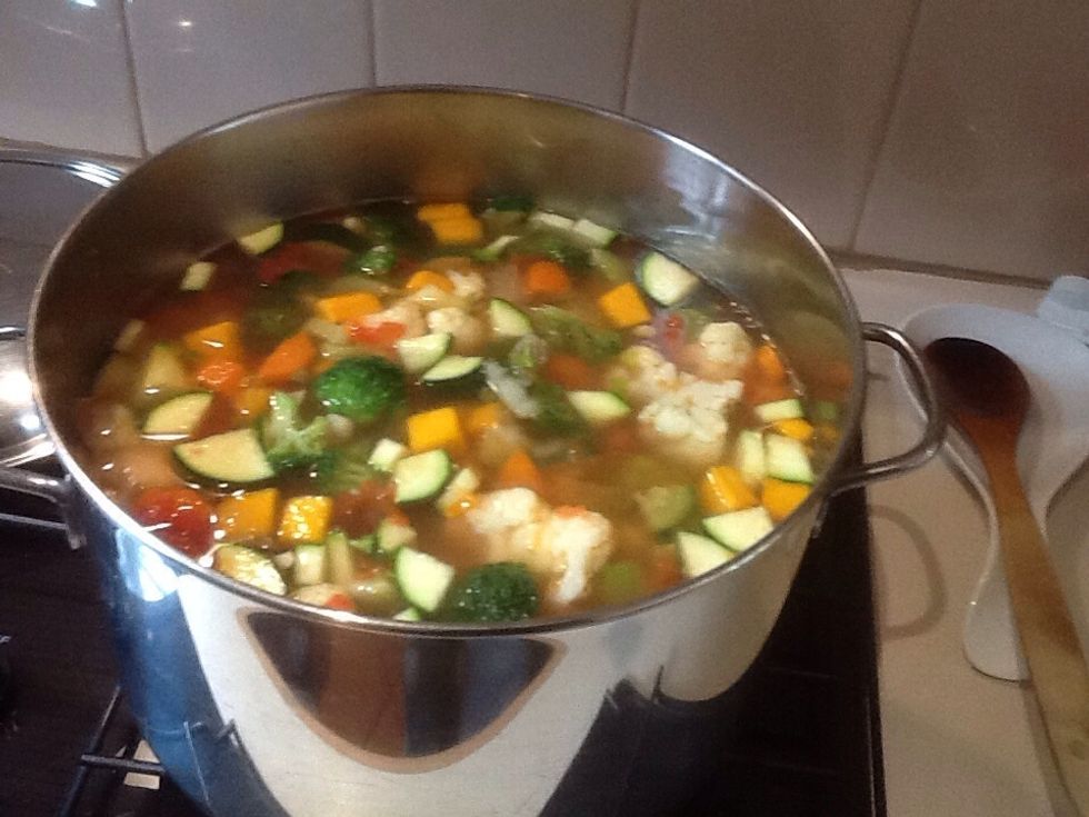 Bring to the boil. Reduce heat to low and simmer for 20 minutes or until vegetables are just tender.