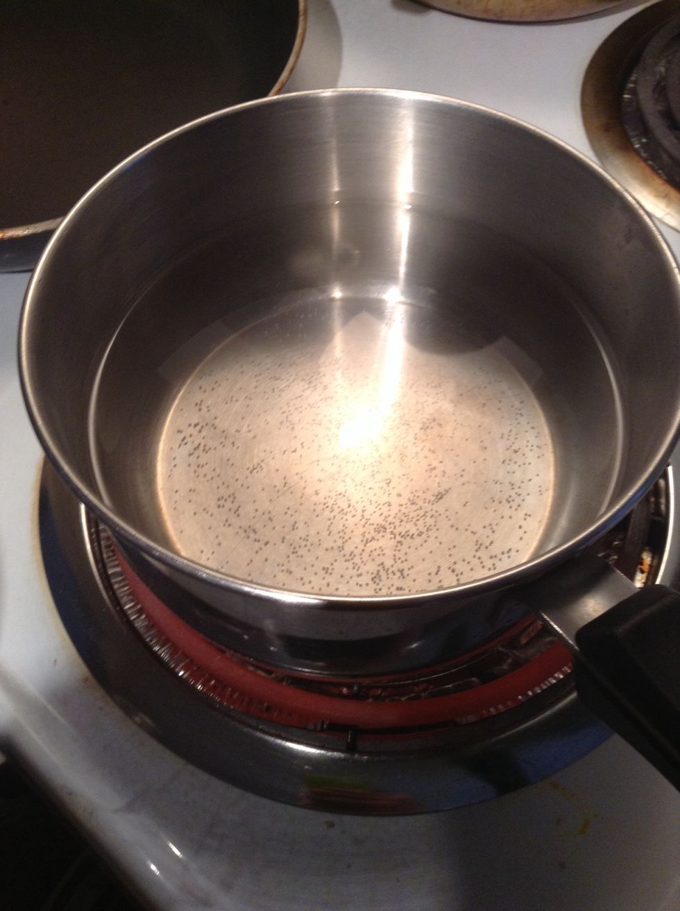 Bring water to a boil