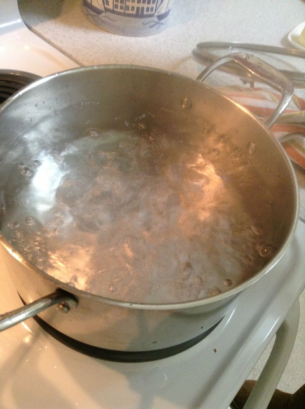 Bring water to a boil