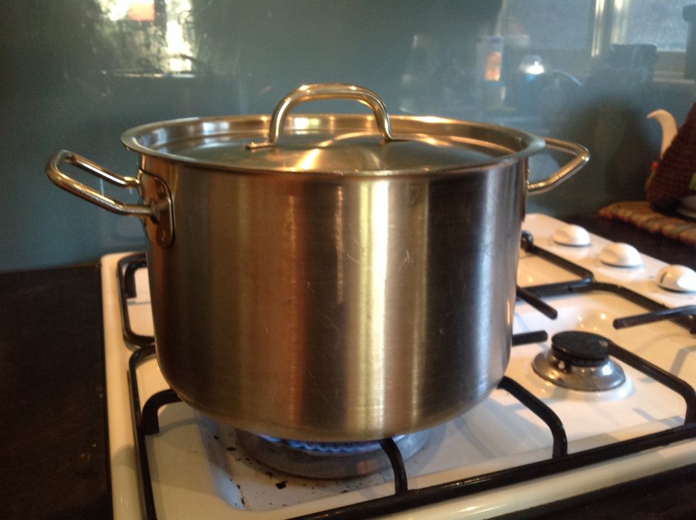 Bring water to boiling point.