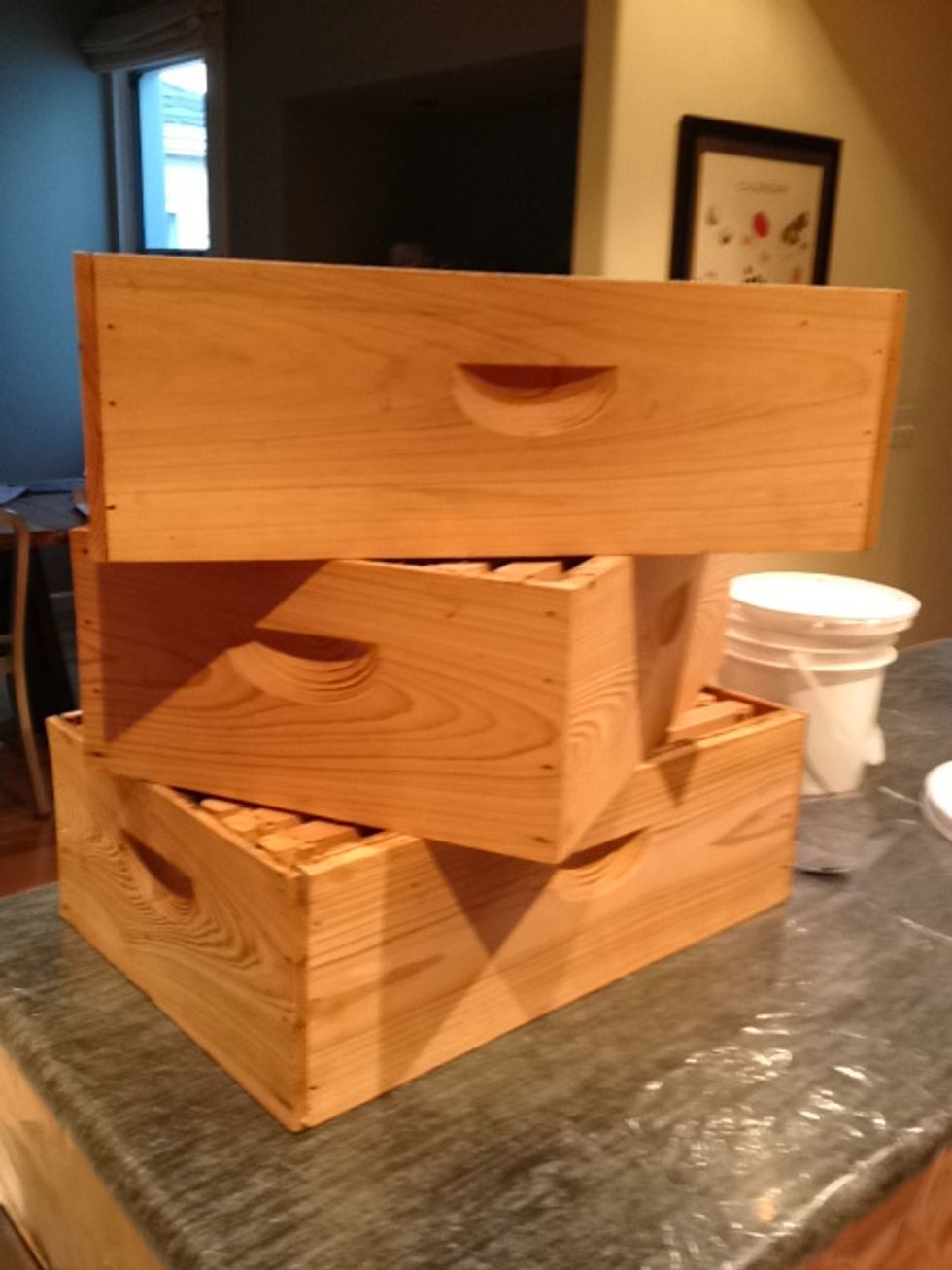 Bring your honey frames into the room where you will be extracting. Make sure your space is clean, warm, and has running water. You should be away from bees and insects. I like to use my kitchen.