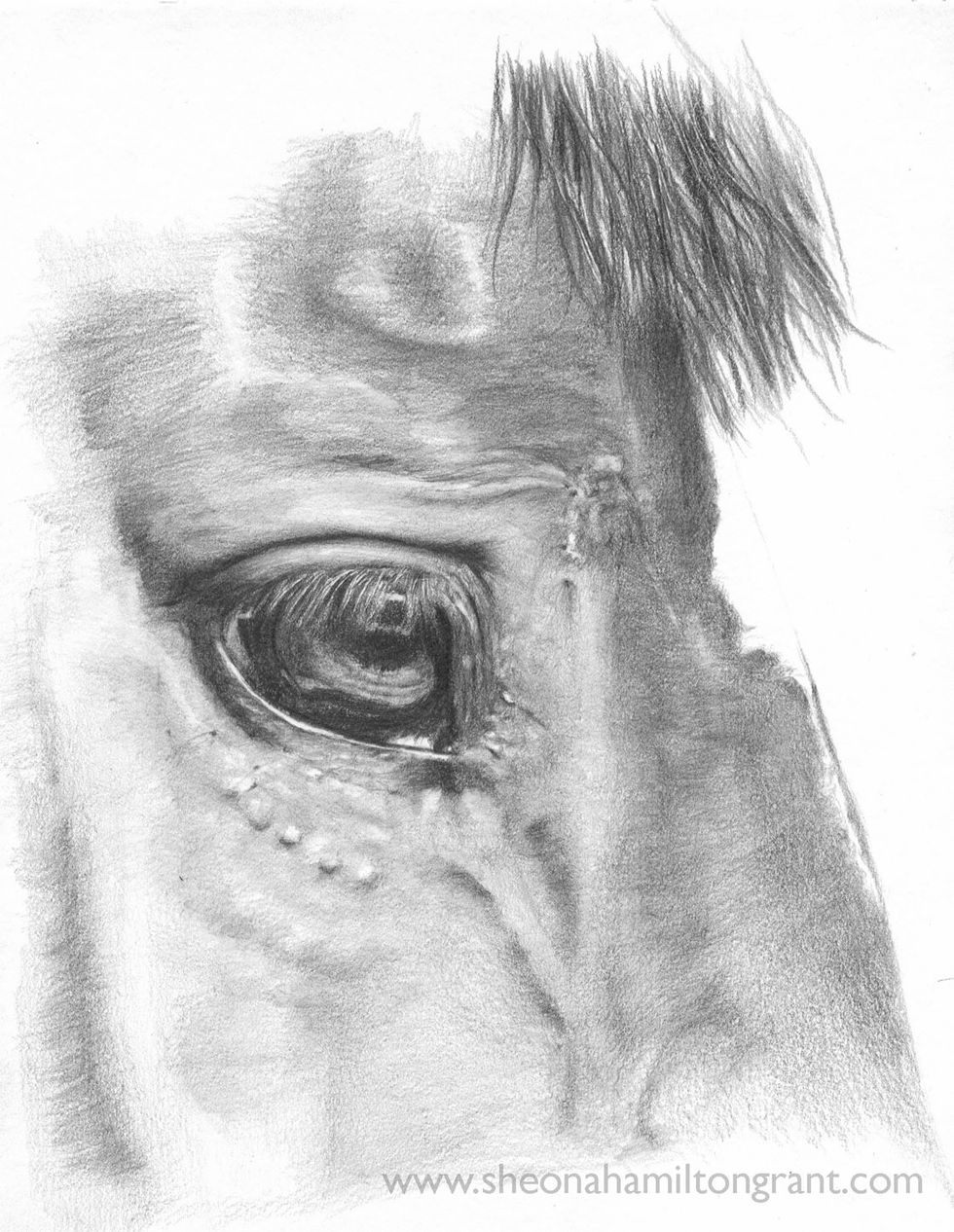 Bringing the values together. No blending only layering with 2H