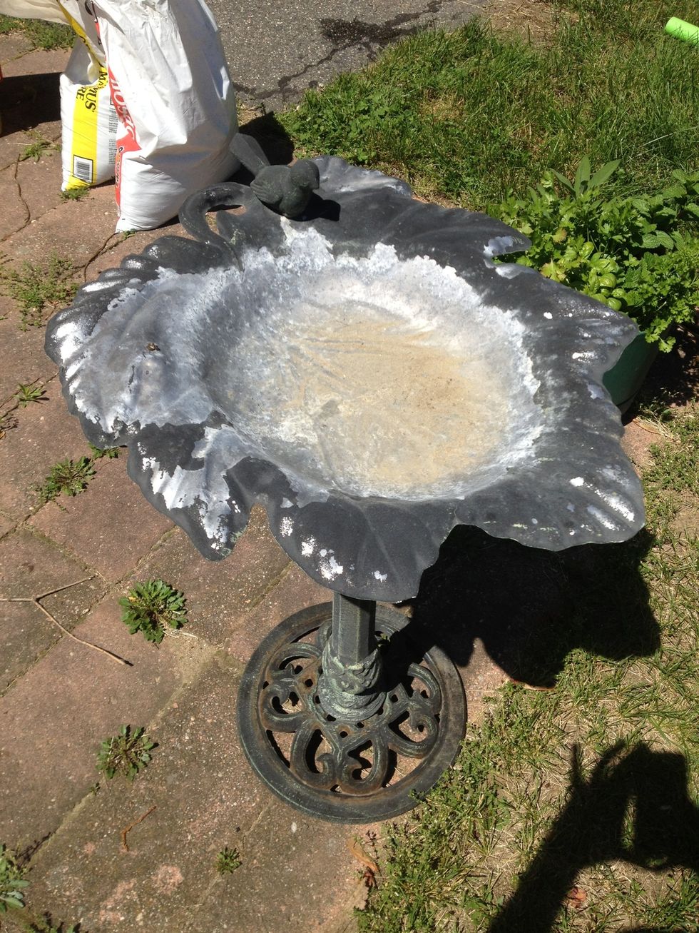 how-to-reuse-a-broken-bird-bath-b-c-guides