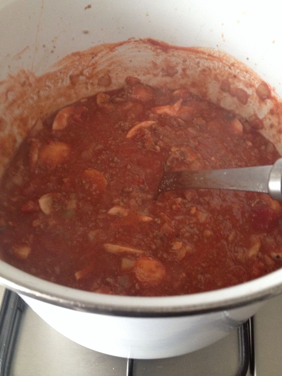 Brown for 10 mins and add tin of toms and pasanda and stir