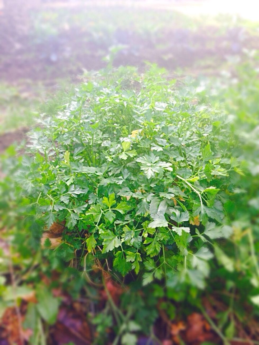 Brrr cold \ud83d\ude01