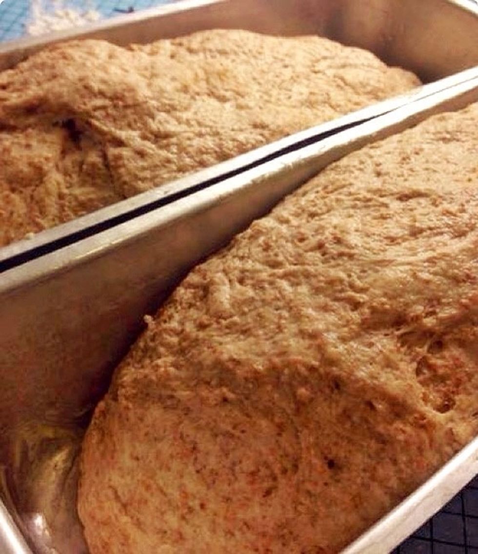 Brush each loaf with some tepid water..