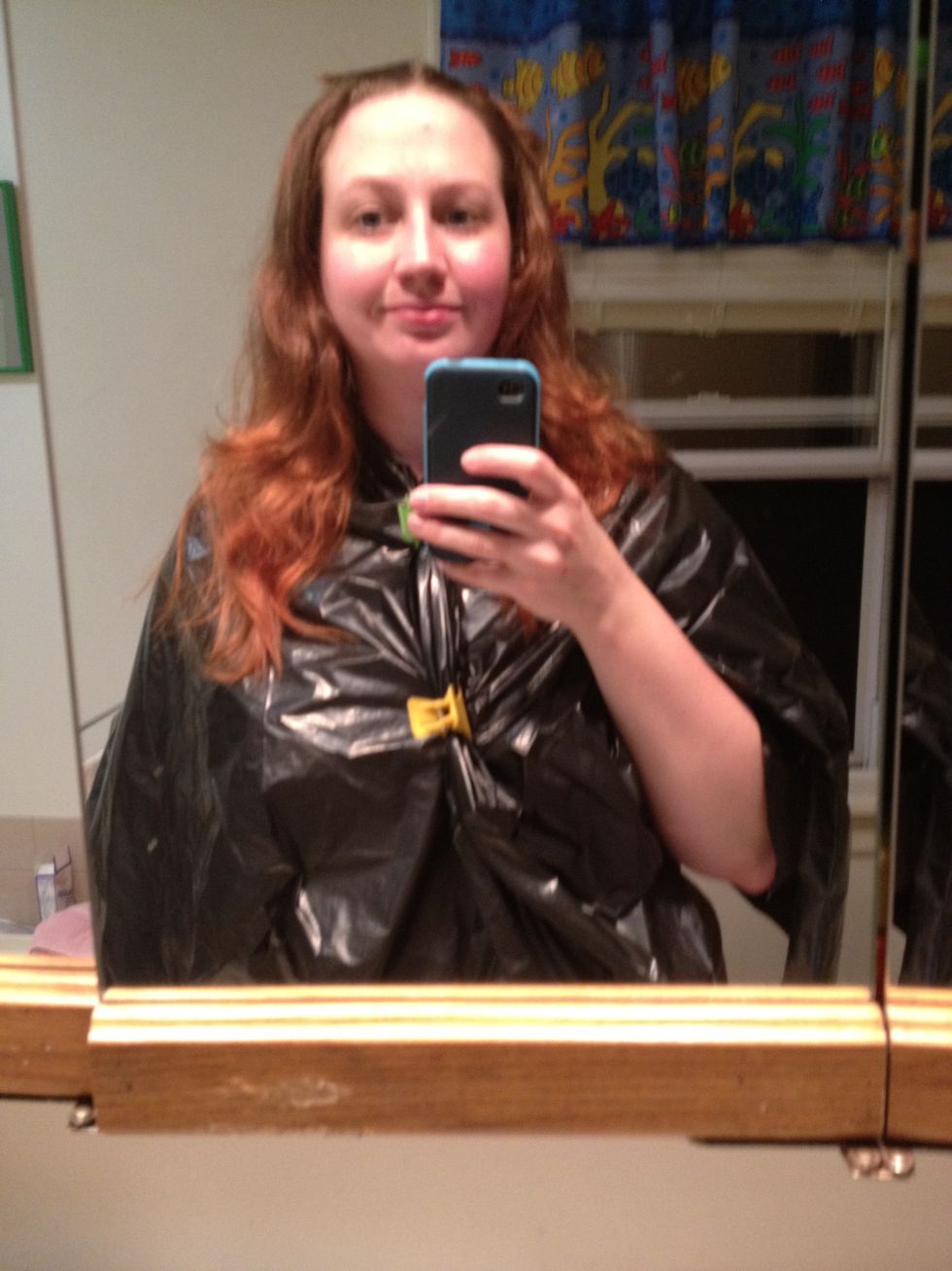 Brush hair free of knots. Clip your bangs back, if you have any.