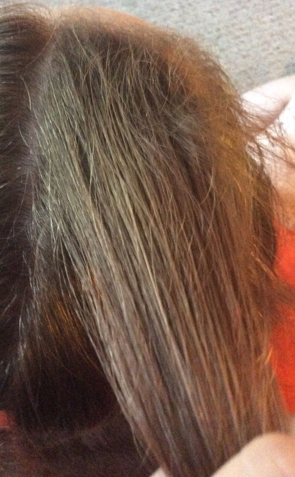 Brush out all the knots in the hair. Then grab a small section of hair at the top of the forehead near the hairline.