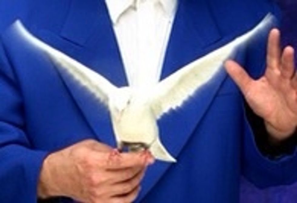 BTW. The reason magicians use doves more than other birds is because they're bright and easy to see. Look great. Easy to care for and fairly easy to train. They also live longer in captivity.