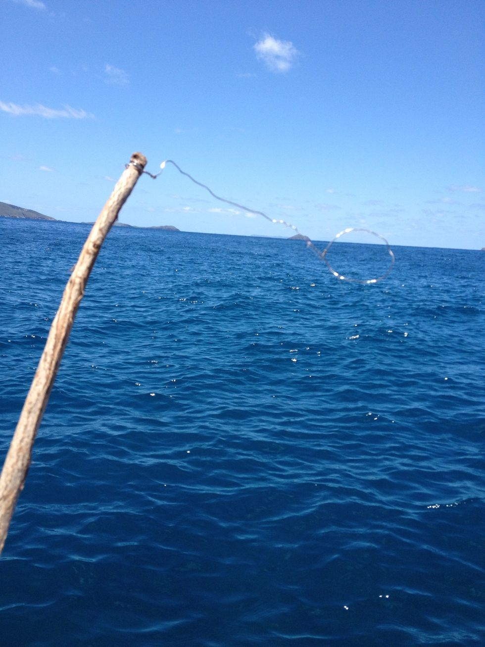 Build a lobster snare for serendipitous lobster sightings.