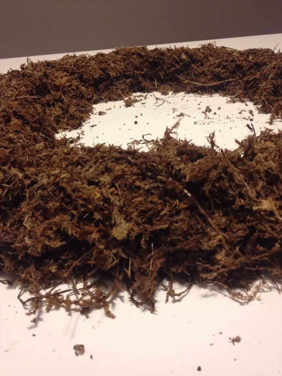 Build up the sphagnum moss wreath about 3 inches high.