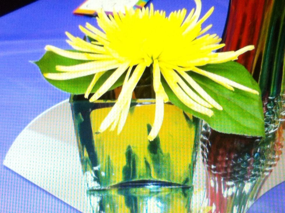 But aren't they great!