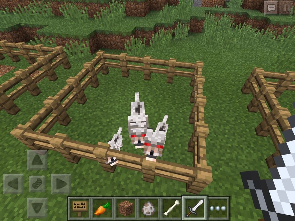 But be warned! While the wolf is naturally Neutral, if you hit an untrained wolf, it WILL attack you!