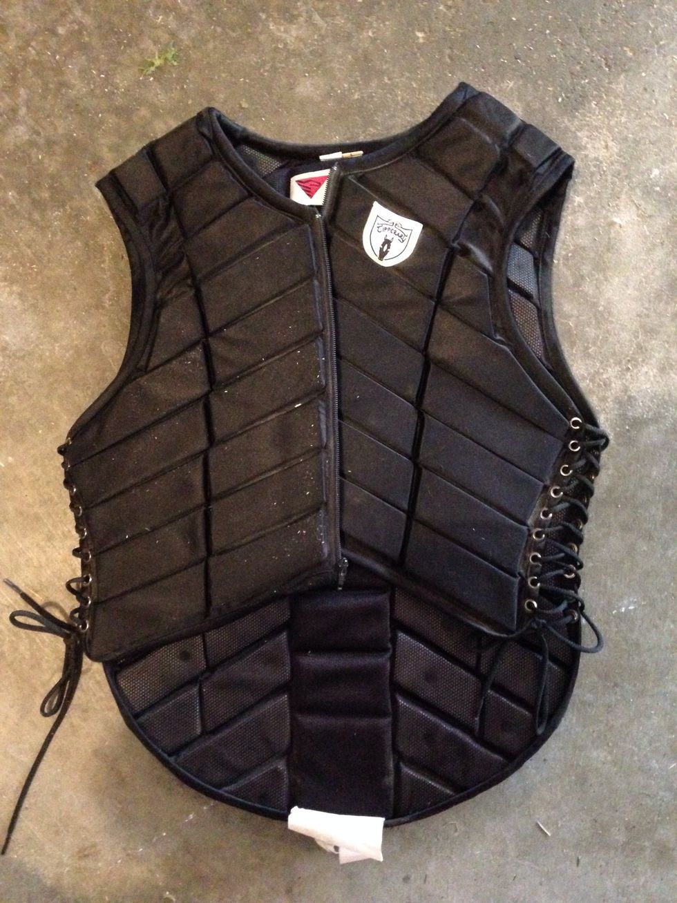 But before you put the bridal on put your vest on and zip it up