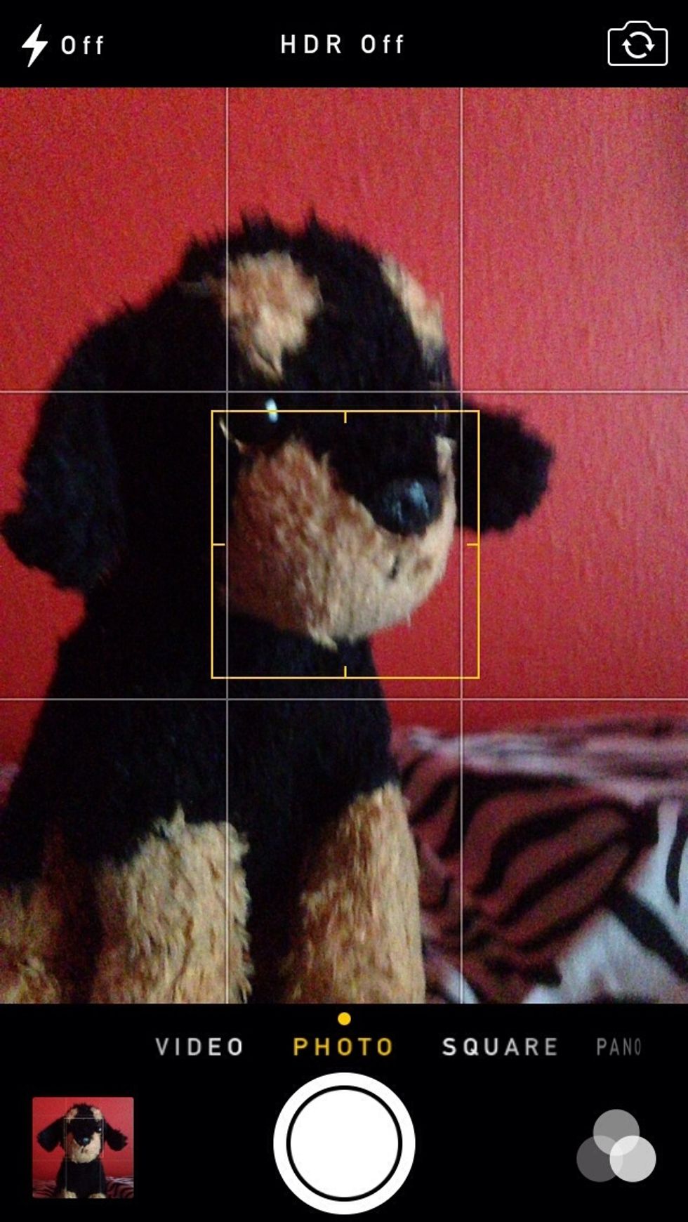 But if you do want to center it turn it to the side but keep its face in the center