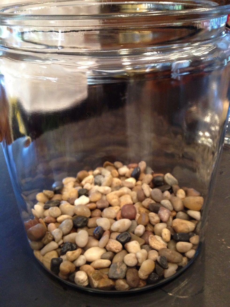 Buy a large jar (Walmart)