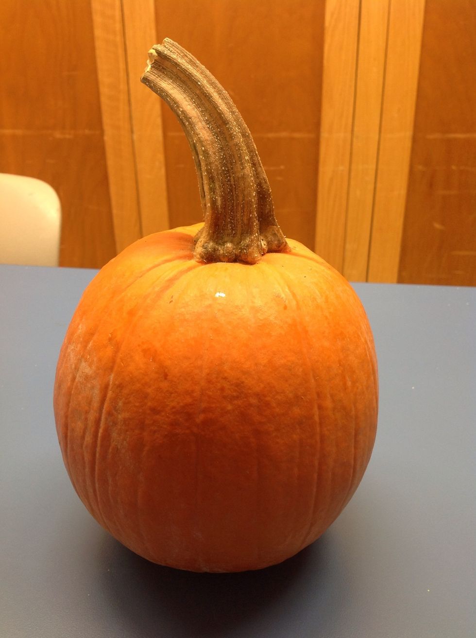 Buy a small round pumpkin, around 3 lbs.  Often referred to as a pie pumpkin.
