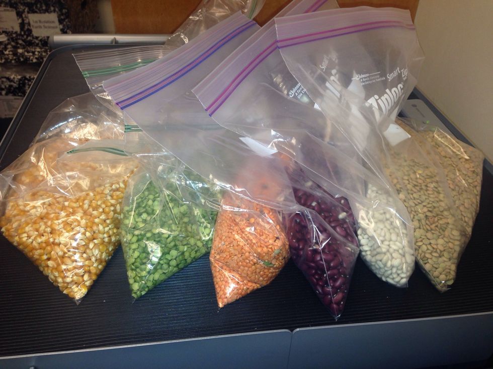 Buy different colored beans. Do not buy beans that are too big because the students have a hard time creating the shapes they want with them. Buy two bags of each color and then get more as needed.