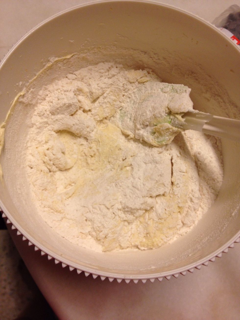 By hand stir in flour, baking soda and salt using a spatula until well mixed.