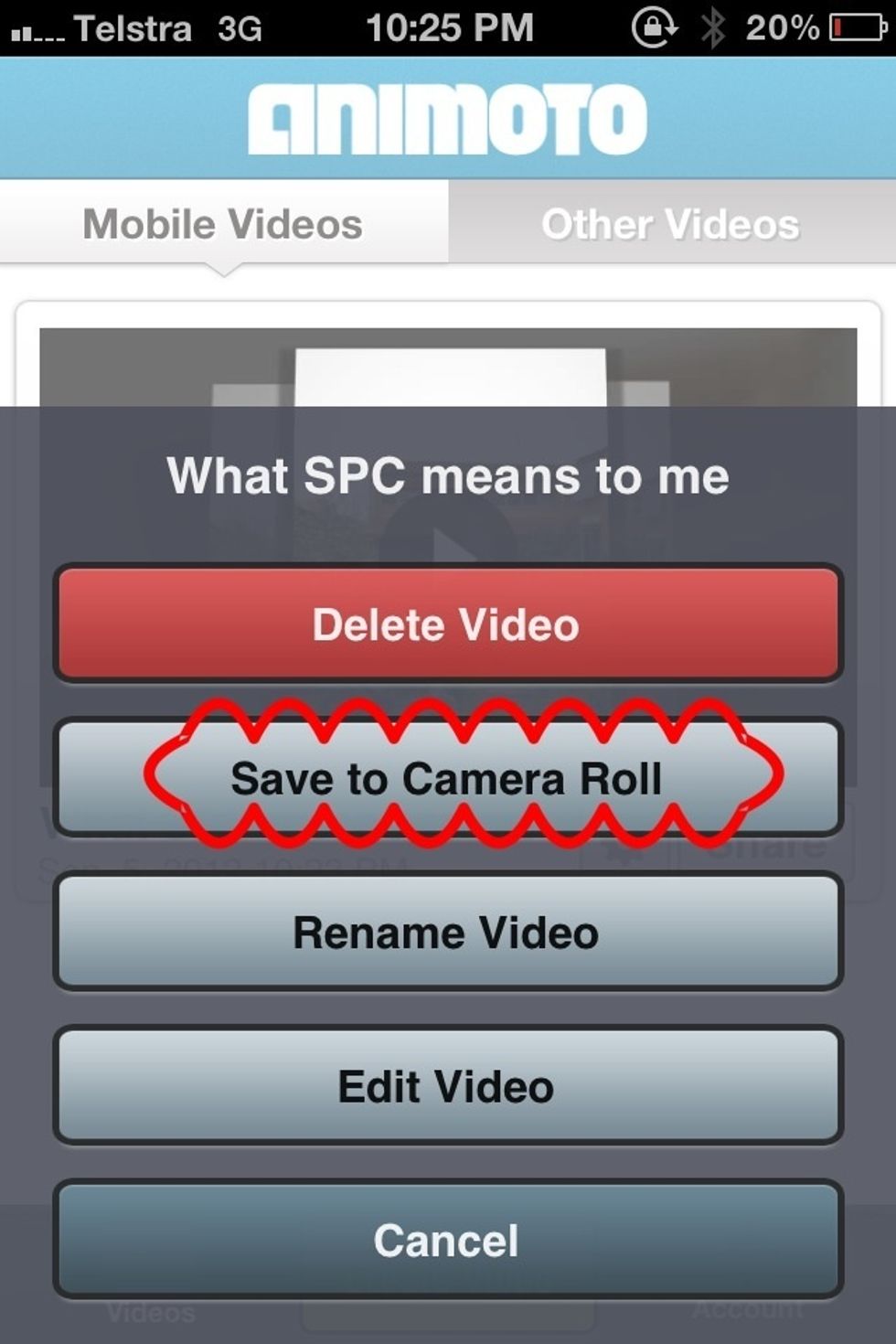 By tapping on the 'cog wheel' you can save it into your camera roll for preview later.