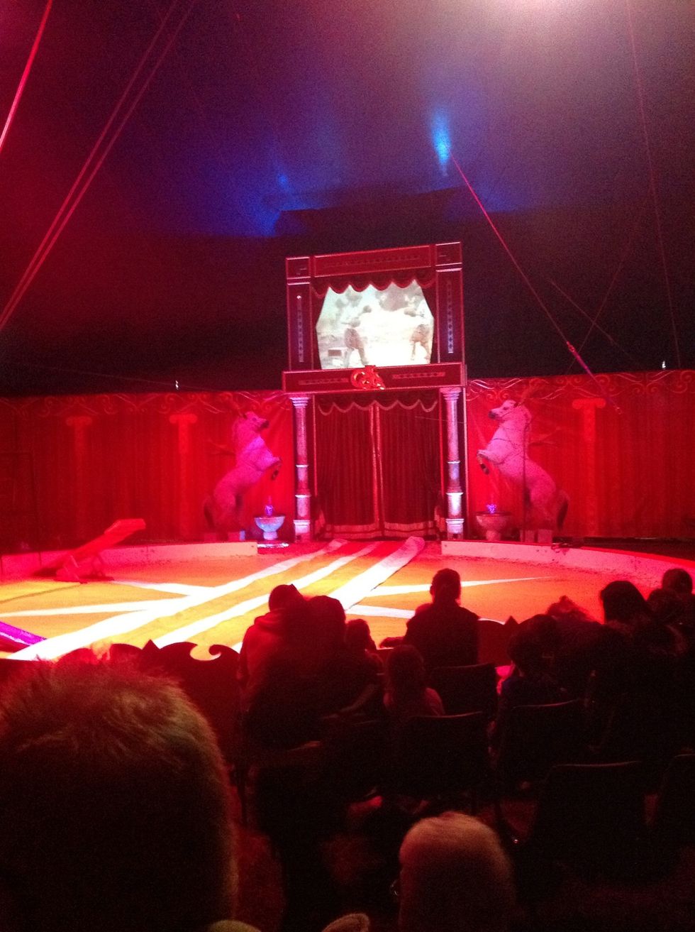 By the time your jellies are set you could join the circus and become a world famous acrobat. Your 3 colour jellies should be ready by now. And your pineapple jelly should be cold but NOT set.