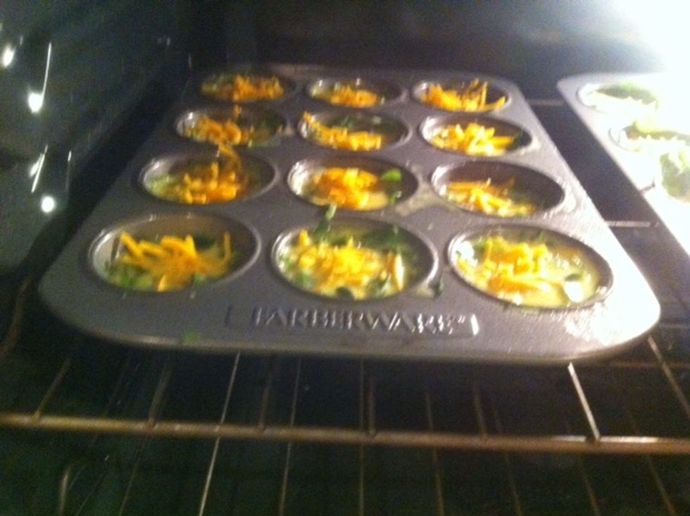 By this step your oven should be pre-heated.. you can finally breathe a somewhat sigh of relief and place in oven.