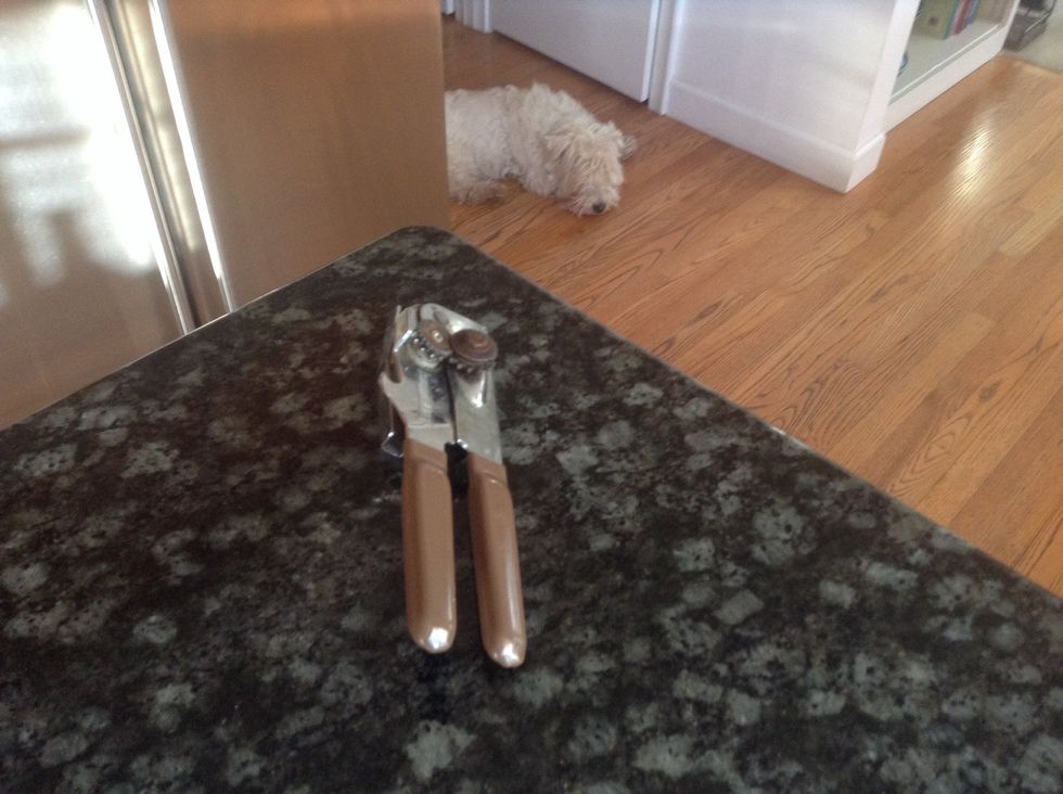 Can Opener. Used to open cans (what else would you use it for?). I can use a can opener to open some tuna.