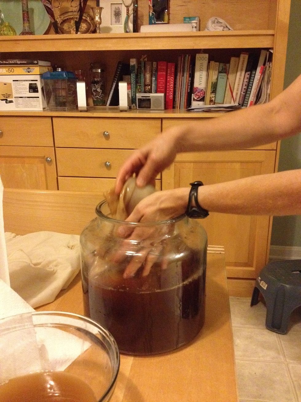Carefully put the scoby into the cooled tea. (It's okay if the scoby sinks to the bottom) Also make sure you're not wearing metal jewelry. Kombucha hates metal. Don't use a metal spoon in it either.