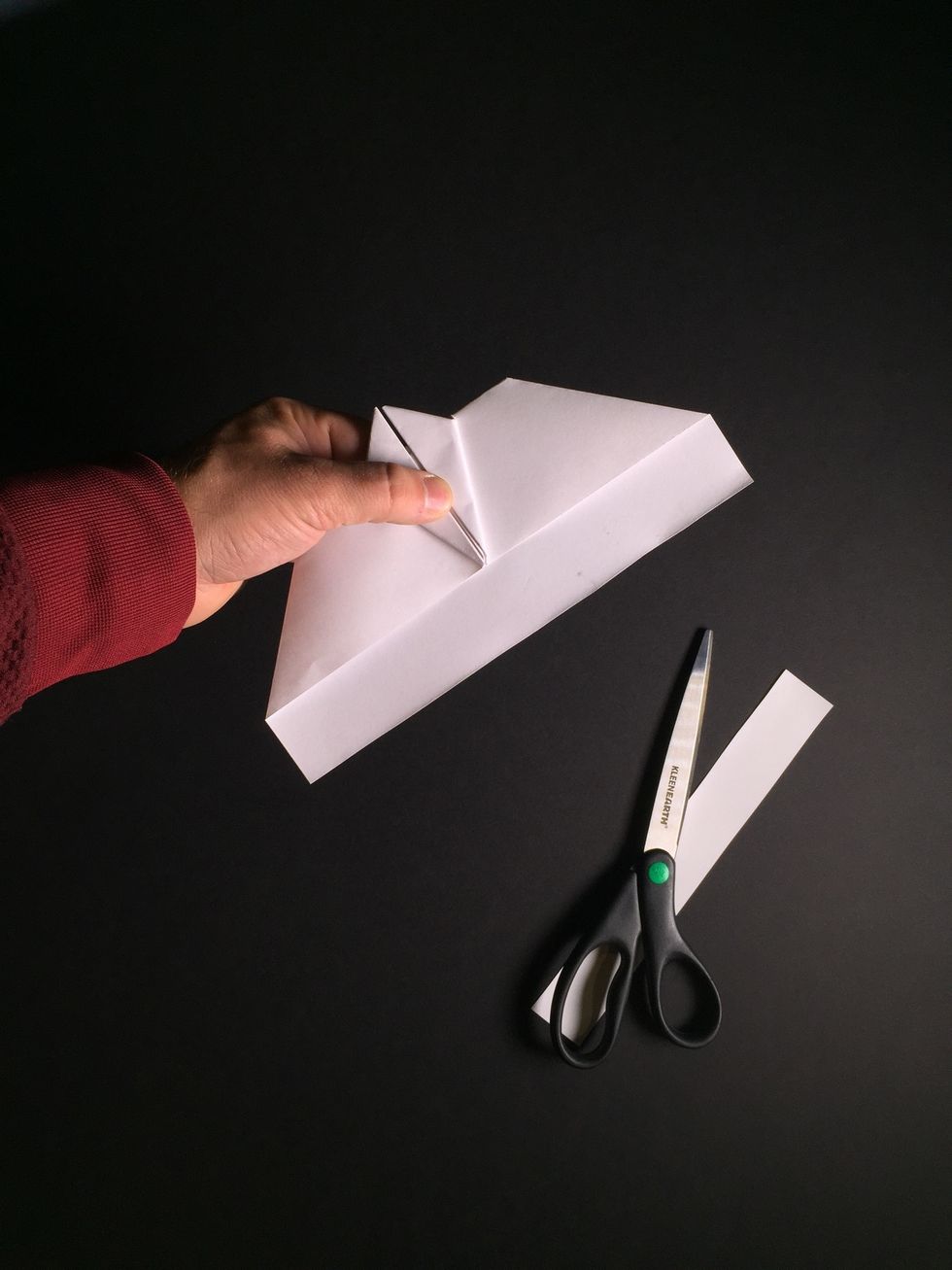 Carefully tear or cut off the strip of paper. SAVE THE STRIP of paper because you are going to need it to make the tail.